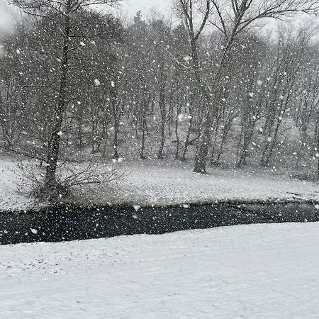 River Wellness Jince Екстериор снимка
